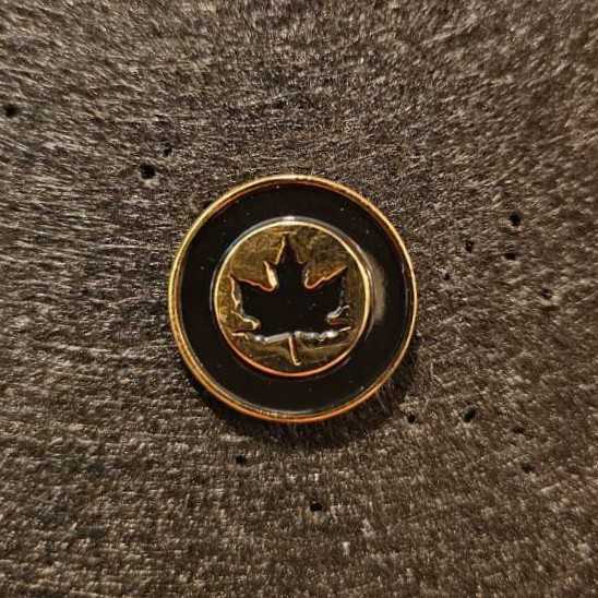 WDW - Zebra - Serengeti Caravan Camp