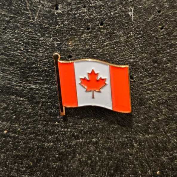 WDW - Mickey, Minnie, Donald - Castle - Name Pin