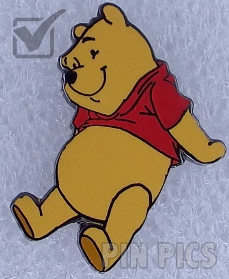 Quasimodo, the Hunchback - King of Fools