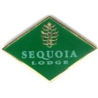 Button - DLP - Mickey and Minnie - Sleeping Beauty Castle - Euro Disney Philips Sponsor