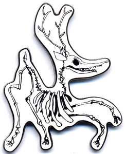 Baby Herman with his bottle