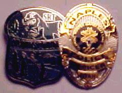 DLR - Tinker Bell - Guide Badge - Castle