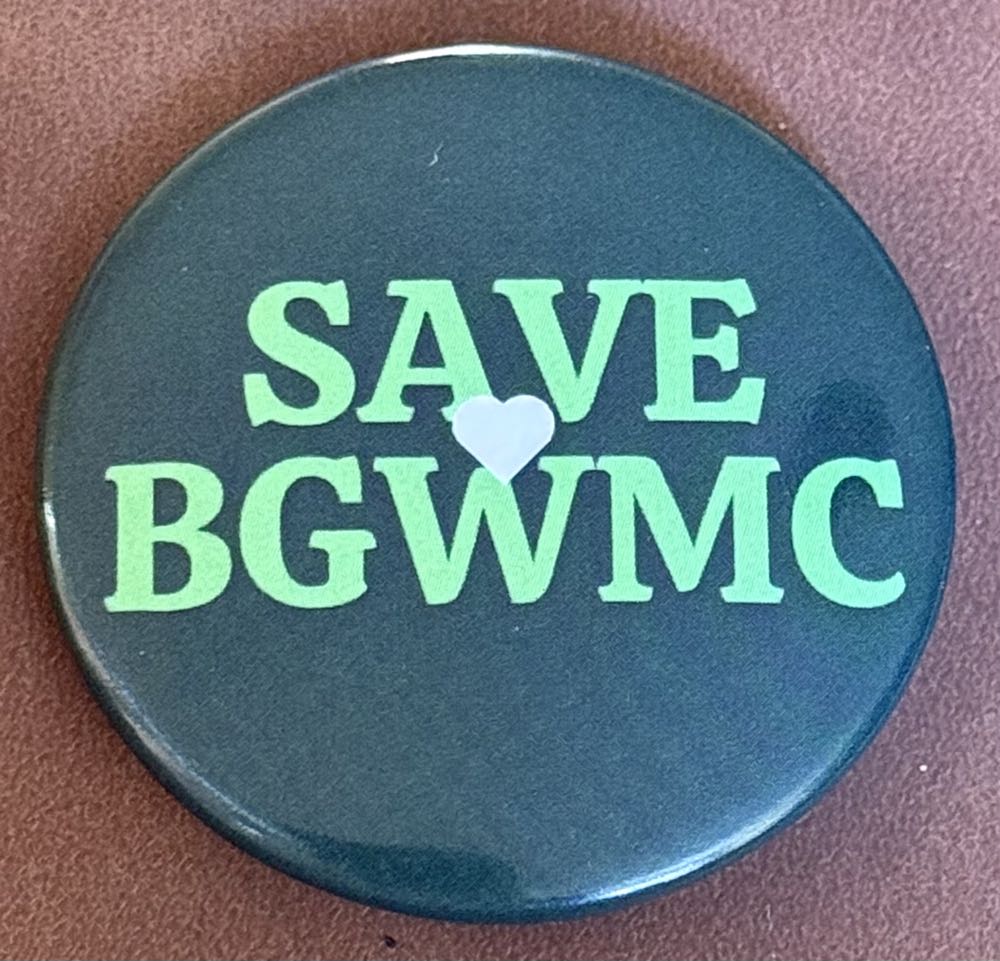 DCL Rescue Captain Mickey Pin Event - Build a Pin Base (Castaway Cay)