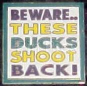 Edmonton Mickey in an airplane