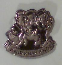 Bootleg - Walt Disney's Donald Duck Pin