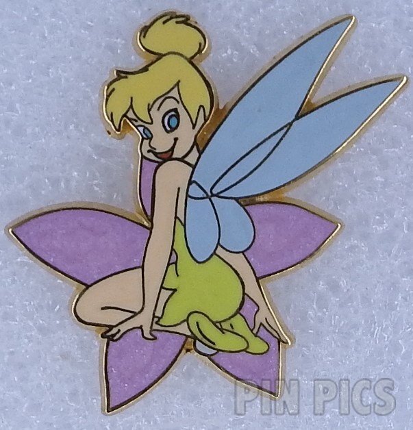 Disney Goals Hockey Program