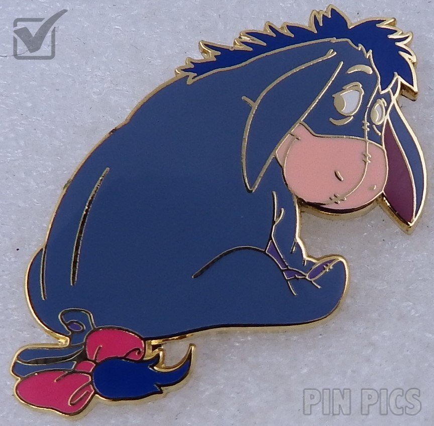 Cast Member ID Lanyard of Captain Hook