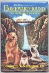 Button - DL - 3000th Performance Main Street Electrical Parade