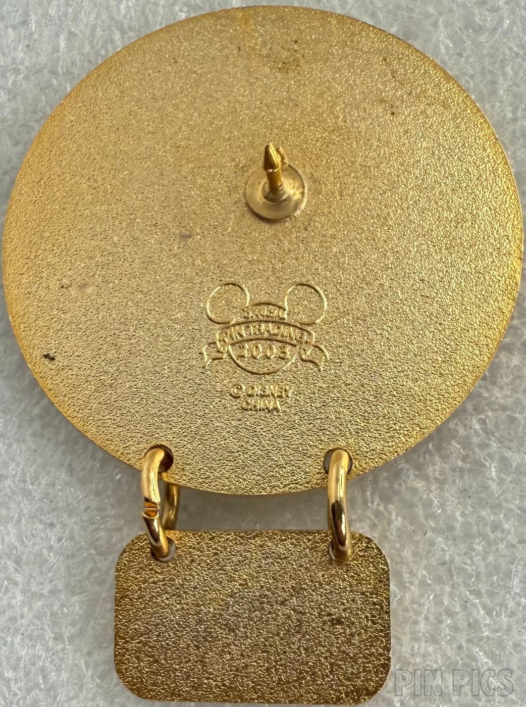 DVC - Member Day - Dangle  pin collectible - Main Image 2