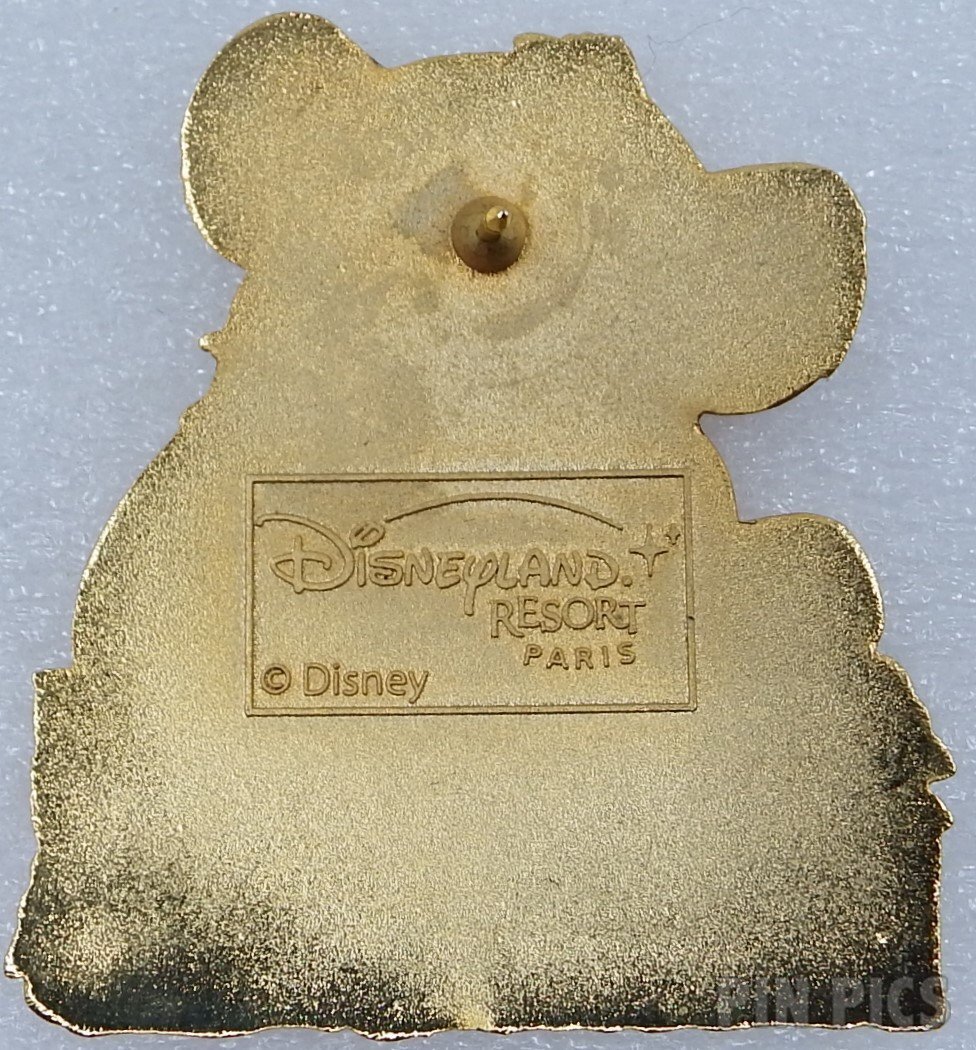 DLP - Simba - Jungle Heroes  pin collectible - Main Image 2