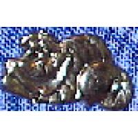 Button - Brother Bear - El Capitan