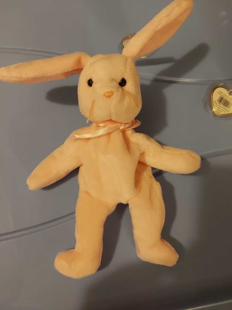 Hoppity The Bunny