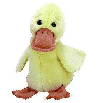 Quackers the Beanie Buddy