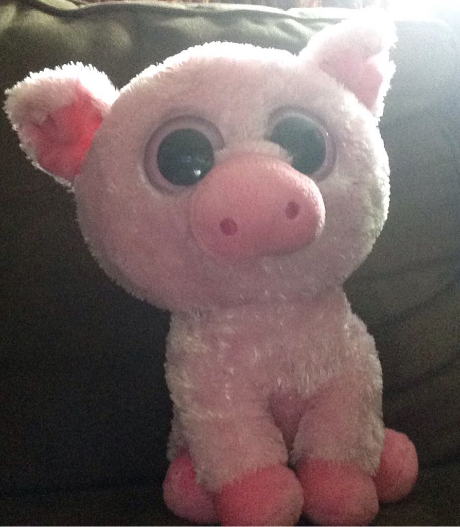 Trotter the Beanie Buddy