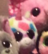 Wishful The Unicorn Medium  plush collectible [Barcode 008421369829] - Main Image 2