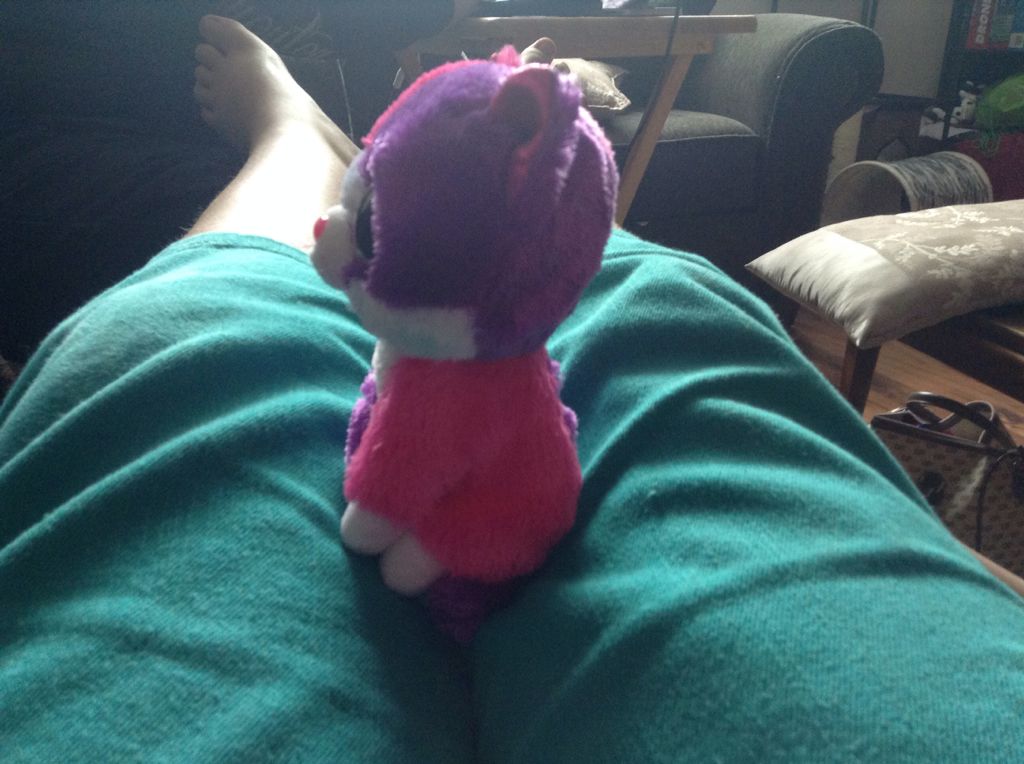 Pellie The Cat  plush collectible [Barcode 008421370313] - Main Image 2