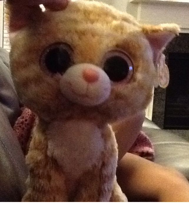 Gidget (Secret Life Of Pets)