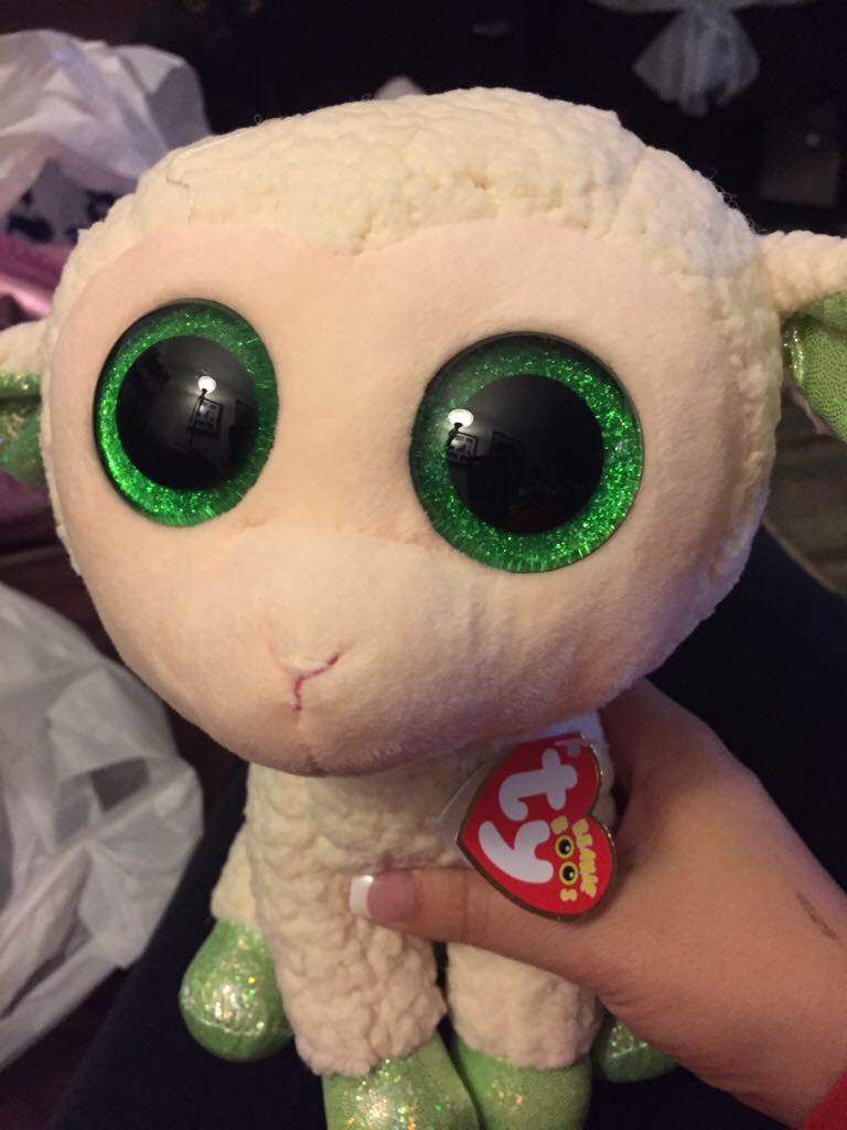 Churchill The Dog (Buddy)