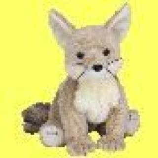 Slick the Fox