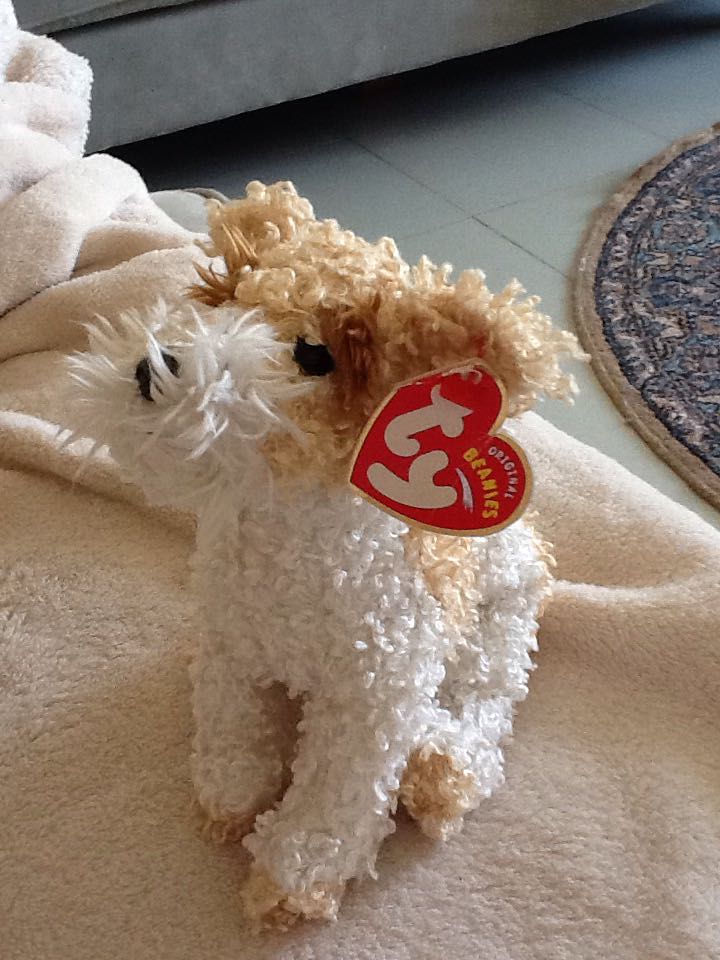 Scrappy The Airedale Dog  (United States) plush collectible [Barcode 008421401024] - Main Image 2