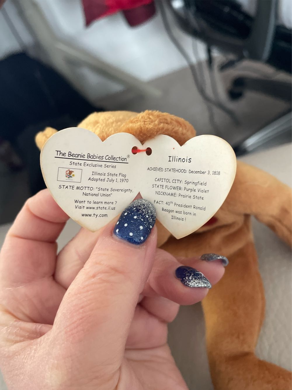 Illinois The Bear  plush collectible [Barcode 008421401277] - Main Image 3