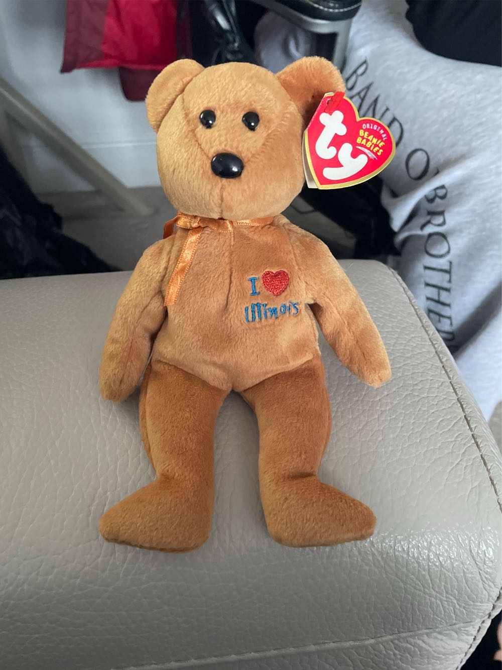 Illinois The Bear  plush collectible [Barcode 008421401277] - Main Image 4