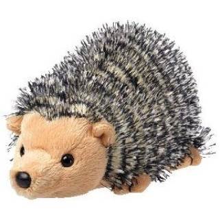 Chuckles The Hedgehog