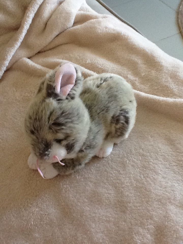 Winksy The Bunny Rabbit - Easter  (United States) plush collectible [Barcode 008421401956] - Main Image 2