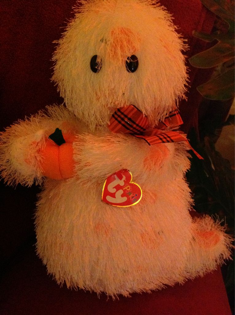Spooky The Beanie Buddy