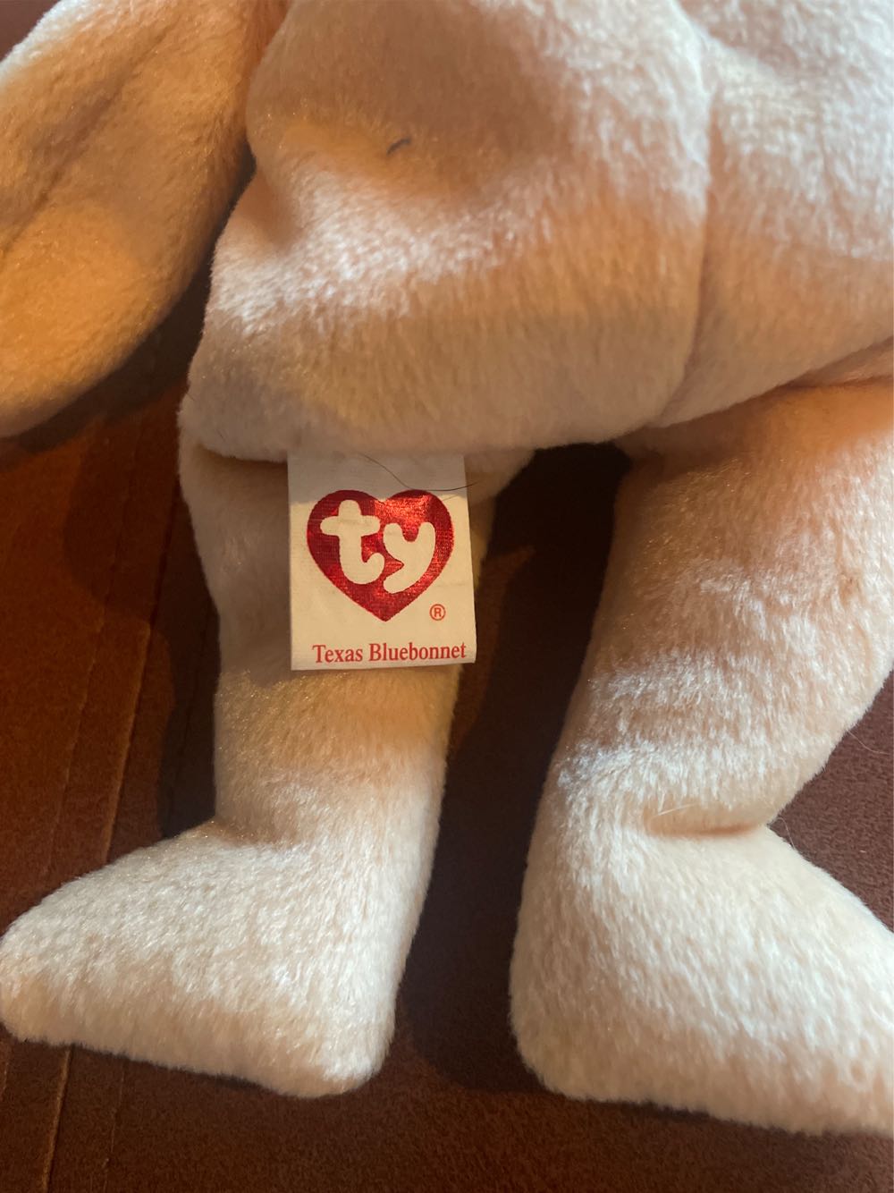 Texas Bluebonnet the Bear  (United States) plush collectible [Barcode 008421402892] - Main Image 3