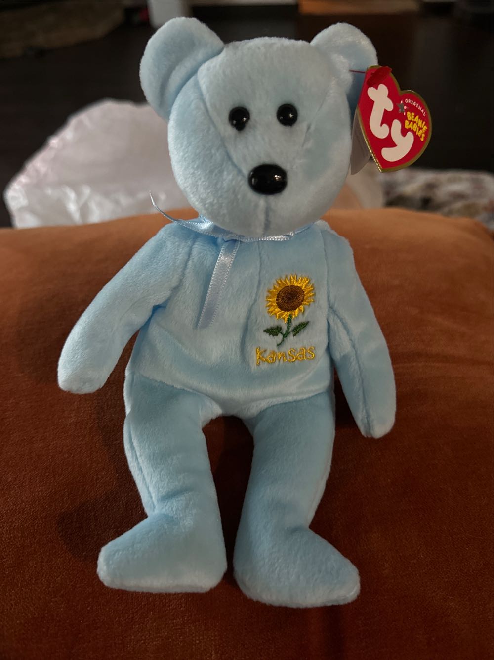 Kansas Sunflower the Bear  (United States) plush collectible [Barcode 008421402946] - Main Image 2