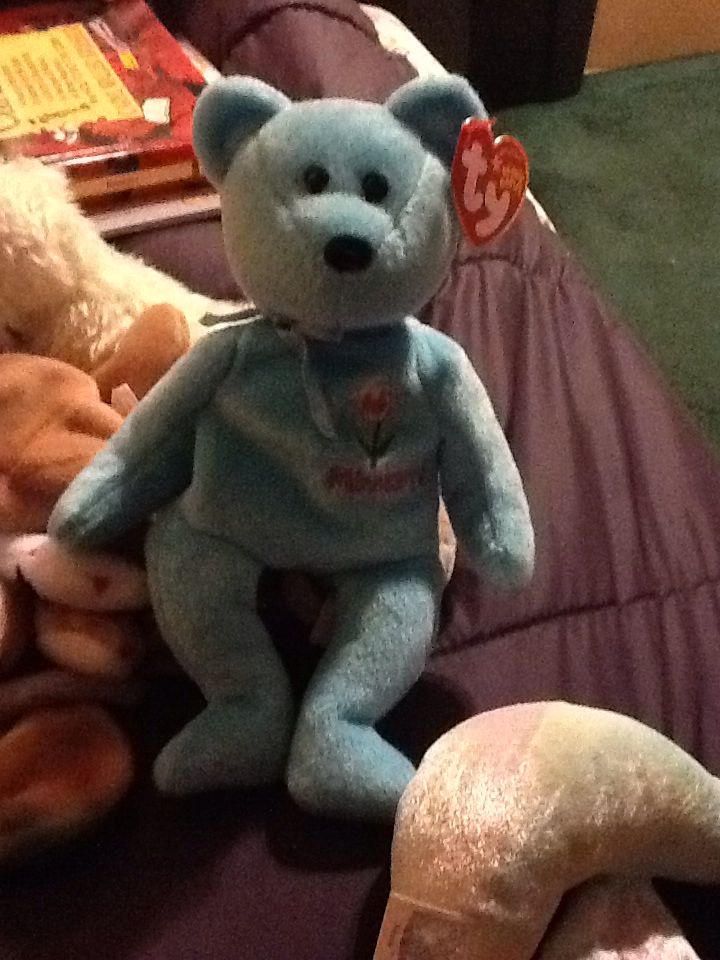 Minnesota Ladys-Slipper The Bear  plush collectible [Barcode 008421402953] - Main Image 2