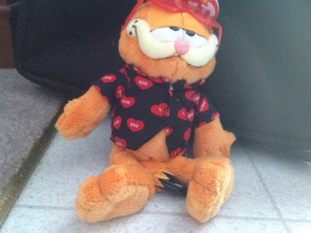 Ontario White Trillium The Bear