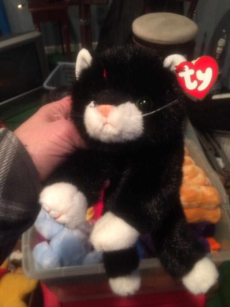 Boots The Cat (Classic Buddy)  plush collectible [Barcode 008421011230] - Main Image 1