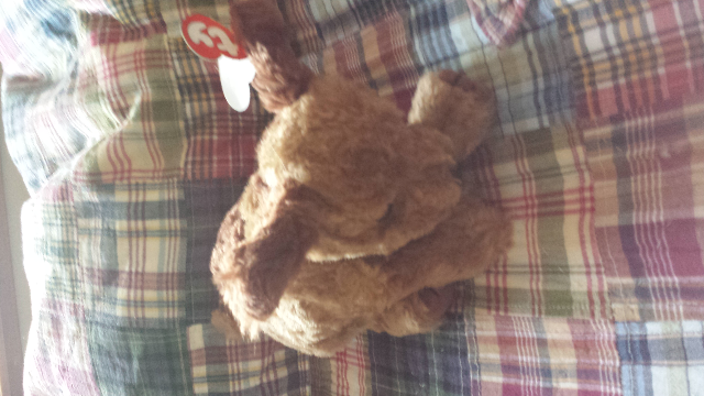 Luca the Dog - Garfield Movie Beanie