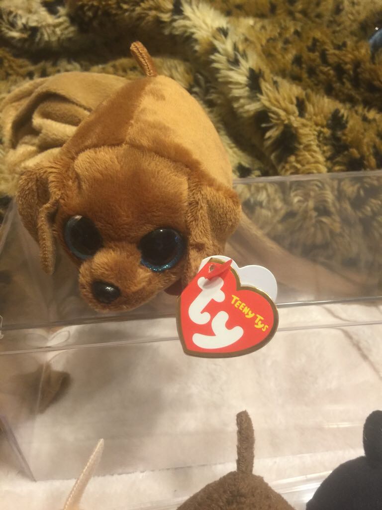 NASCAR - Carl Edwards #99