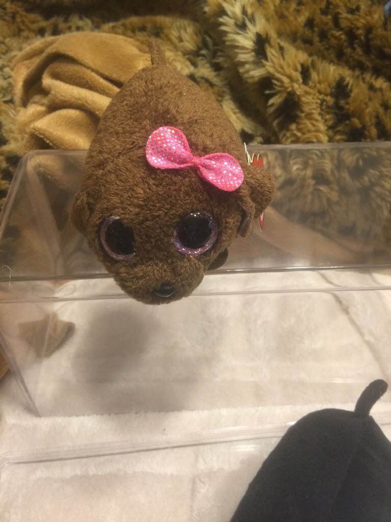 Shaggy the Bear (Classic/ Plush)