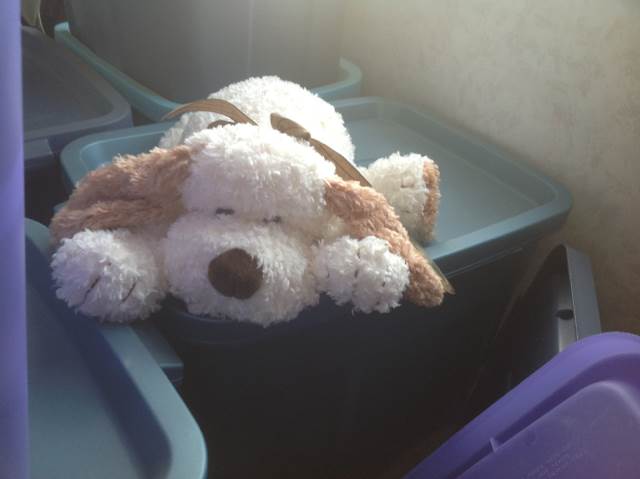 Beanie Boos - Twinkle The Lamb