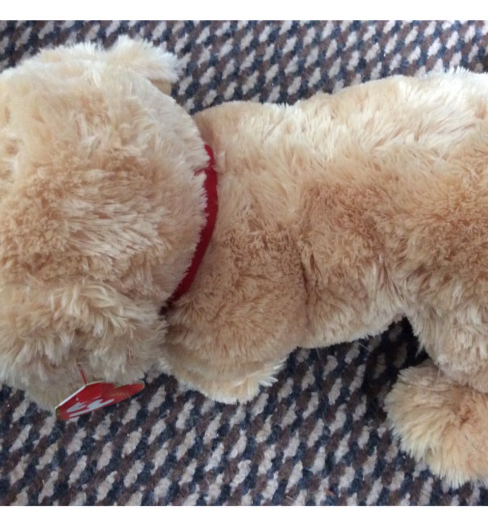 Chewey   plush collectible [Barcode 008421020676] - Main Image 2