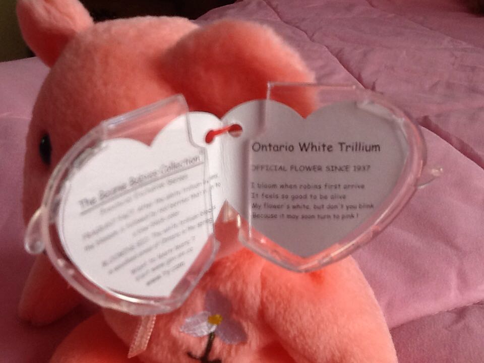 Ontario White Trillium The Bear  (Canada) plush collectible [Barcode 008421460373] - Main Image 2