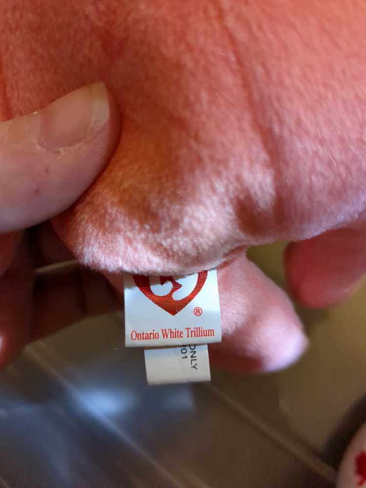 Ontario White Trillium The Bear  (Canada) plush collectible [Barcode 008421460373] - Main Image 3