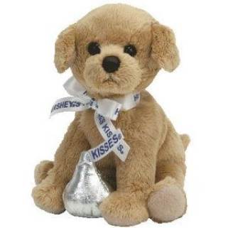 Texas Bluebonnet the Bear