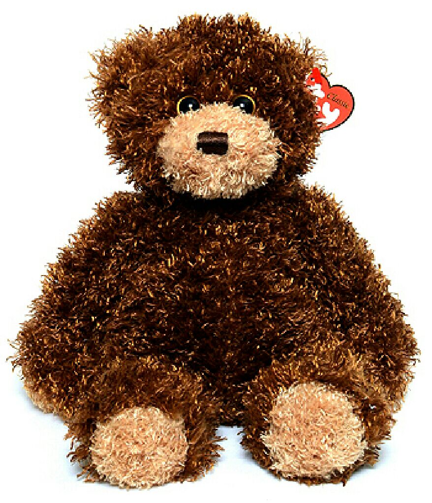 COURAGE The German Shepherd Dog