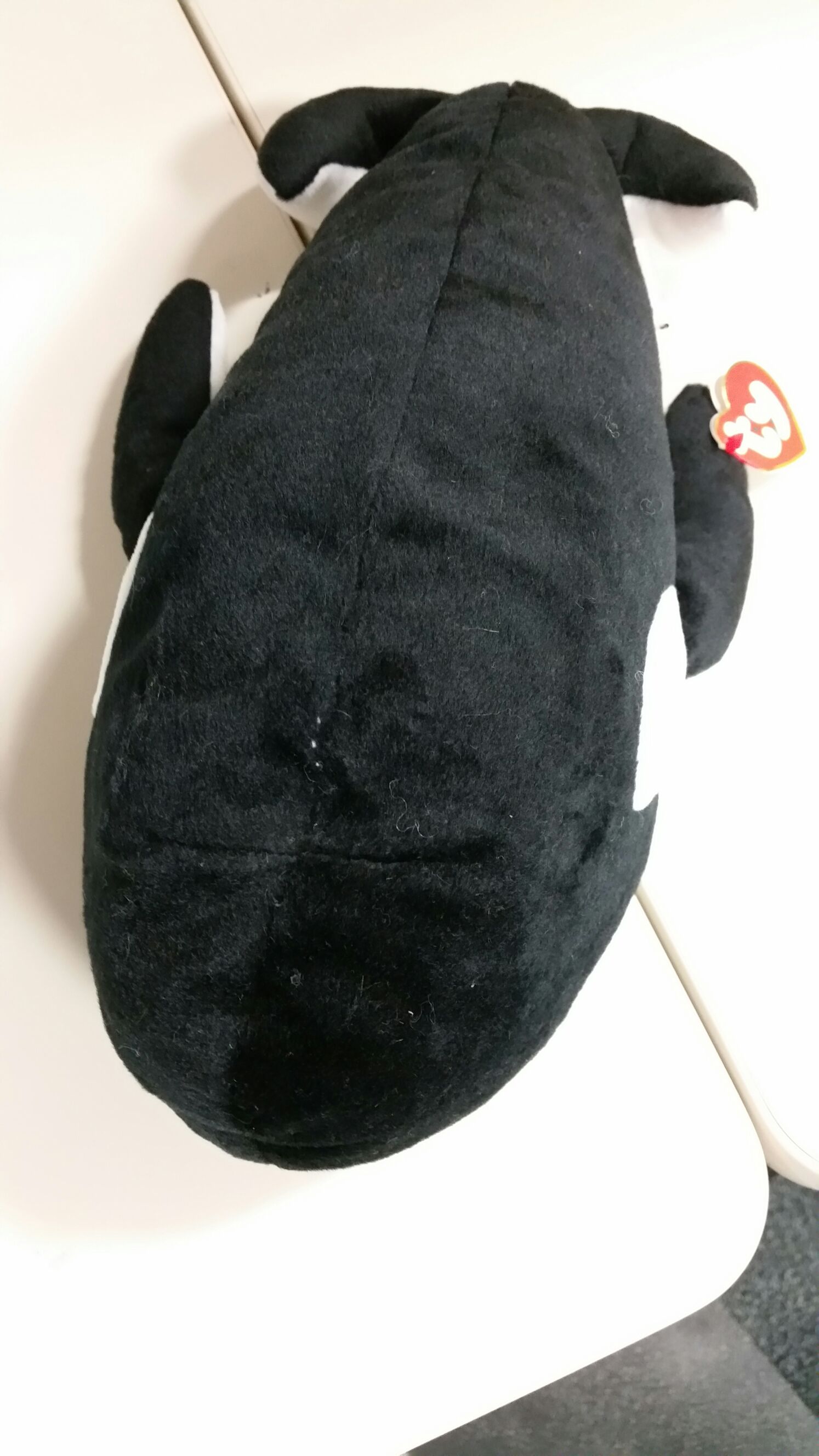 .BOOS BONGO the Baby Monkey (Clip)