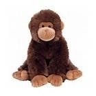 Ivy - Attic Treasure