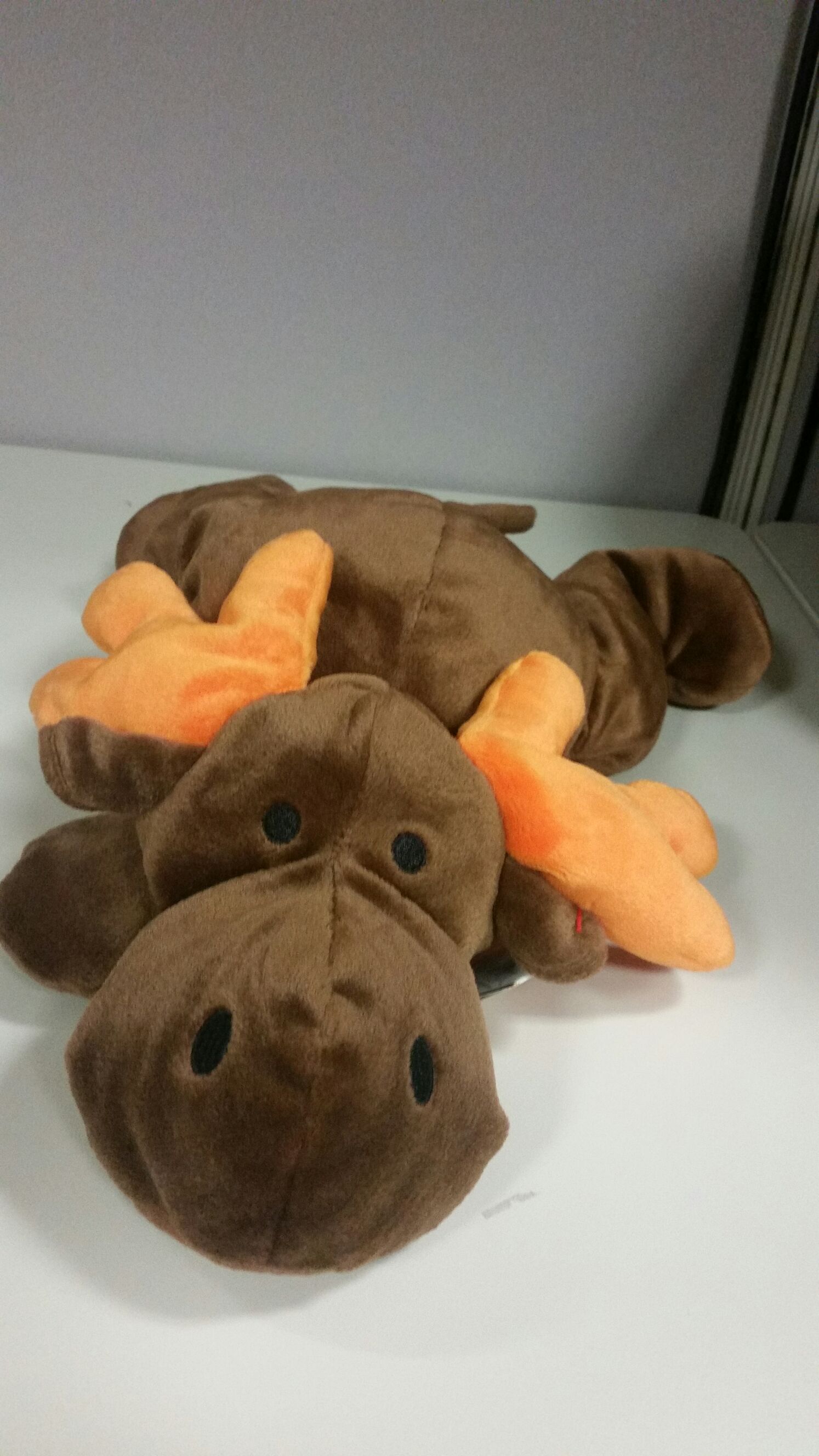 Colosso The Mammoth Beanie Buddy