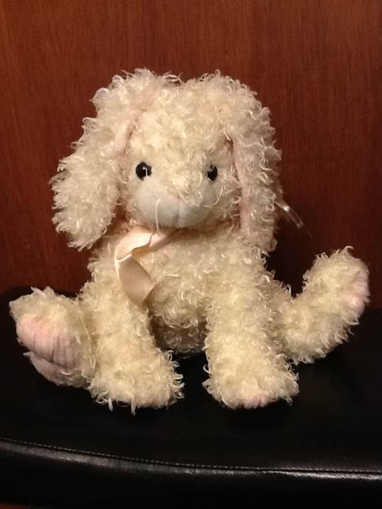 SPRING the Bunny (Buddy)