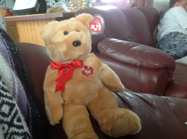 Scaredy The Cat (2.0)