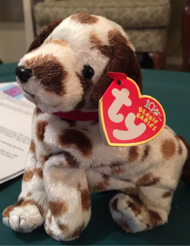 GIFTS the Bear 🐻 🎄