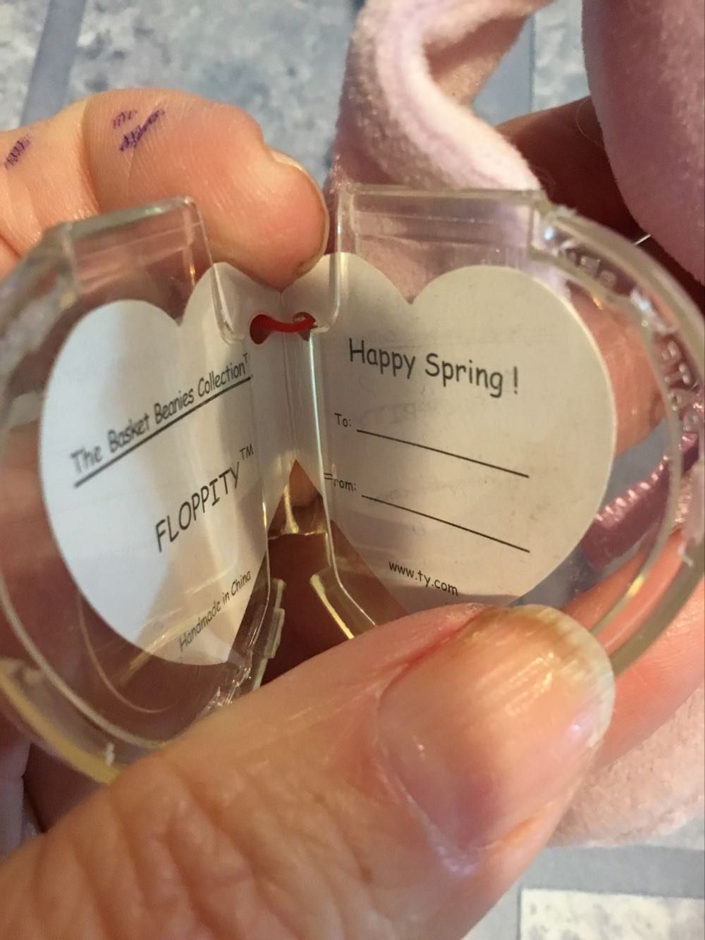 Floppity The Bunny - Basket Beanies - Easter  (United States) plush collectible [Barcode 008421035113] - Main Image 3